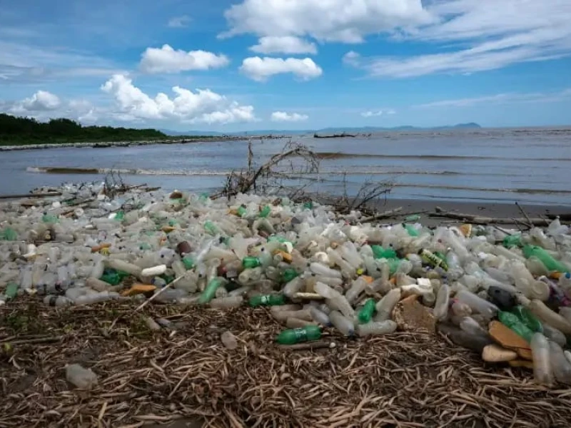 Plastic Water Bottles Pose Long-Term Health Risks: Study
