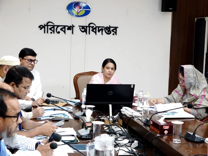 No Brick Kilns to Operate in Savar Next Season: Adviser Rizwana