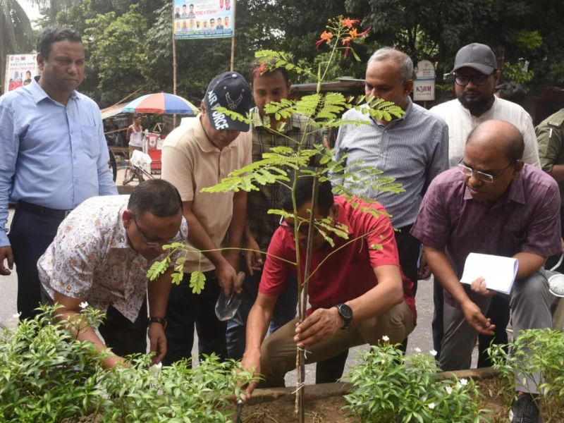 DSCC to Plant 91,000 Trees on Road Medians for Beautification, Greenery