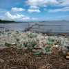 Plastic Water Bottles Pose Long-Term Health Risks: Study