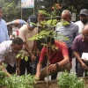 রোড মিডিয়ানে ৯১ হাজার গাছ লাগাবে দক্ষিণ সিটি করপোরেশন