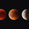 Rare Blood Moon: Bangladesh to Witness after 11:30pm