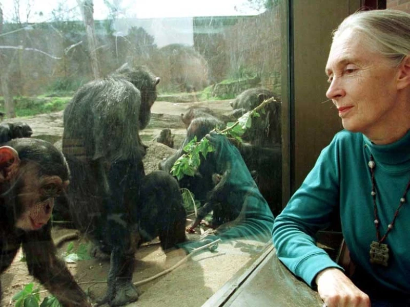 World’s greatest voice for nature Dame Jane Goodall no more