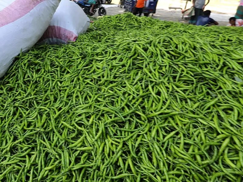 কাঁচা মরিচের কেজি ৩২০ টাকা, সবজির বাজারেও আগুন
