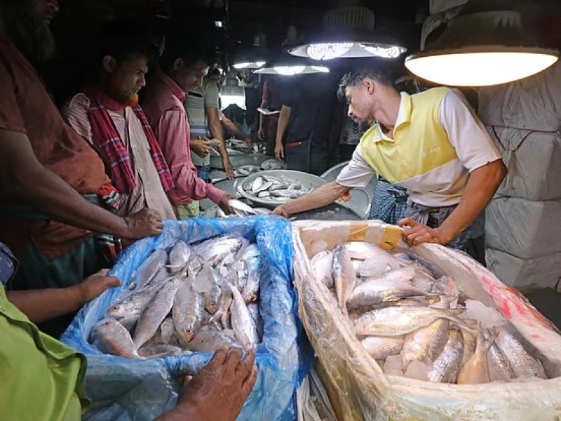 Hilsa export to India lowest in a decade