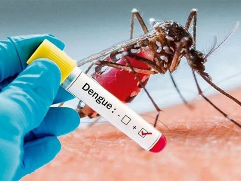 Four More Die from Dengue; 814 New Cases Reported in 24 Hours