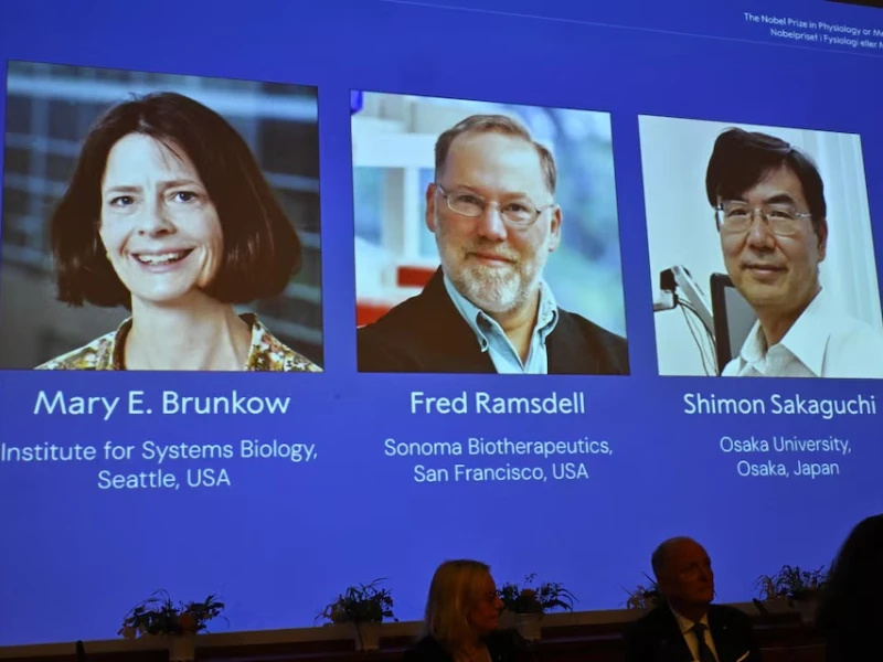 US, Japanese trio win Nobel for immune system discovery