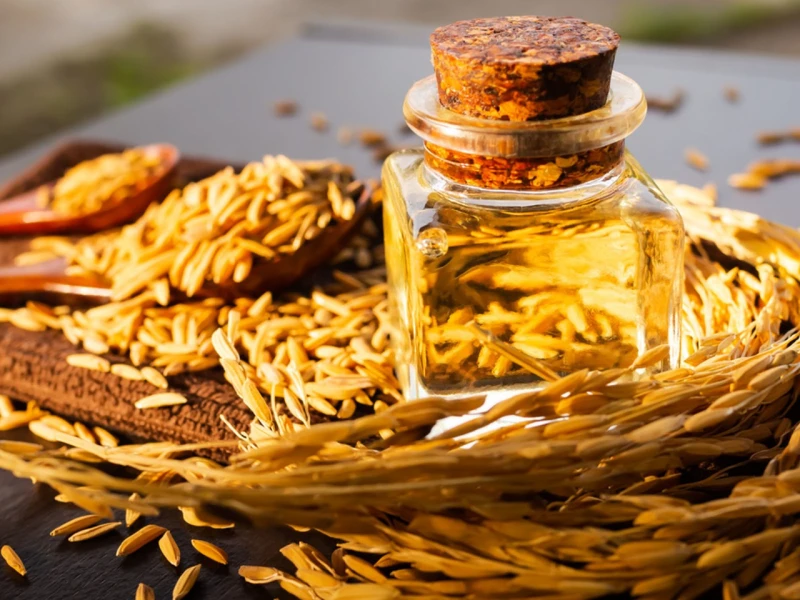 Japanese firm shows interest in importing crude rice bran oil from Bangladesh