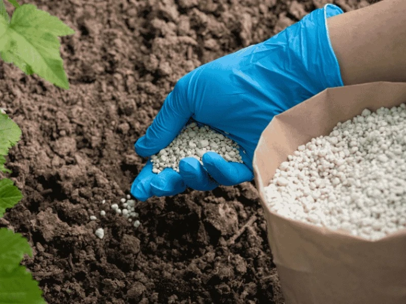 Govt to import 2.3 lakh tonnes of fertiliser from Saudi Arabia, Canada and China