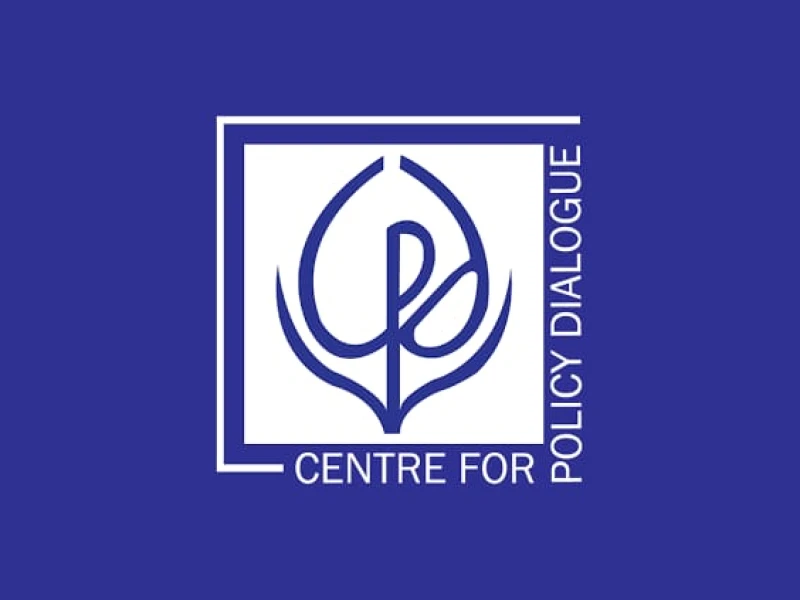 Upper House ‘unnecessary and impractical’, says CPD