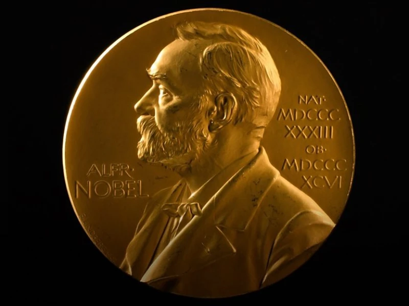 Nobel 2025 honors breakthroughs from immunity to innovation