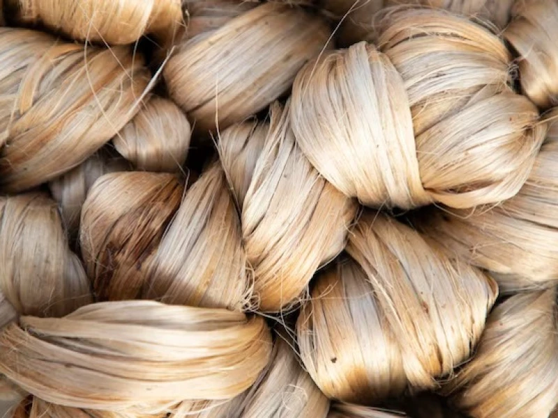 Raw jute export benefits spark unrest among local mill owners