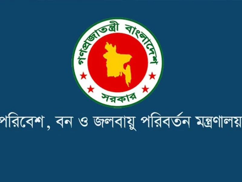 DoE Conducts Nationwide Drives: Hydraulic Horns, Banned Polythene Seized; Fines Imposed