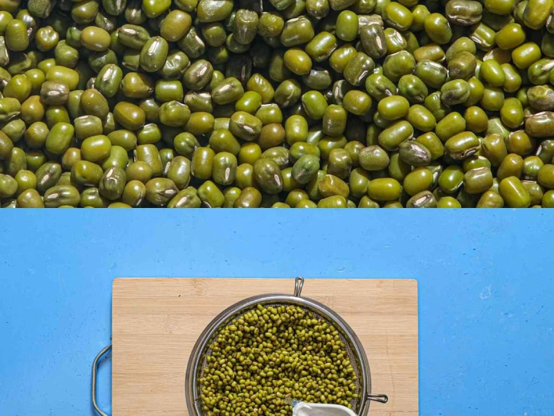 Dyed Moong Beans Flood Market Despite Spike in Moth Imports