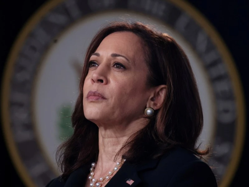 Kamala Harris hints at another White House bid