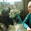 World’s greatest voice for nature Dame Jane Goodall no more