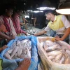 Hilsa export to India lowest in a decade