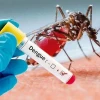 Four More Die from Dengue; 814 New Cases Reported in 24 Hours