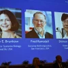 US, Japanese trio win Nobel for immune system discovery