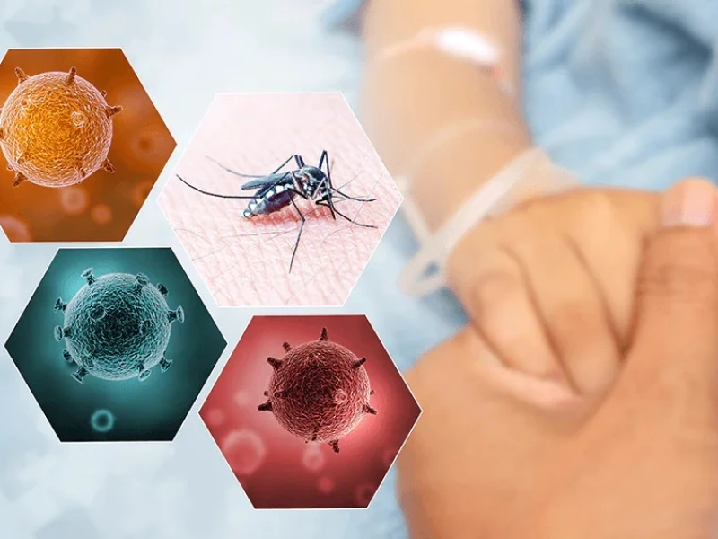 Dengue Death Toll in Bangladesh Surpasses 300 This Year