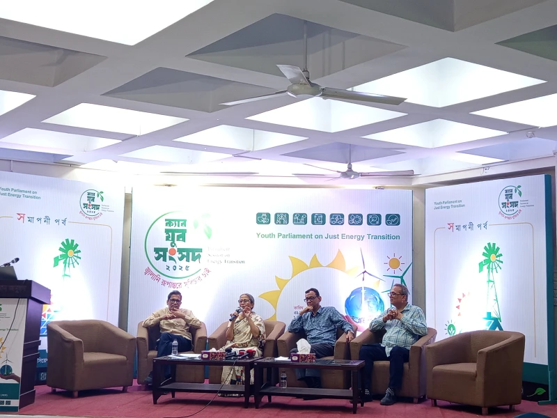 Power Prices to Remain Stable Even with Subsidy: Adviser Farida