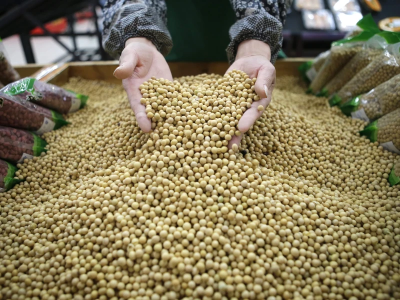 Bangladesh Firms Sign $1.25 Billion Landmark Deal to Boost U.S. Soy Imports