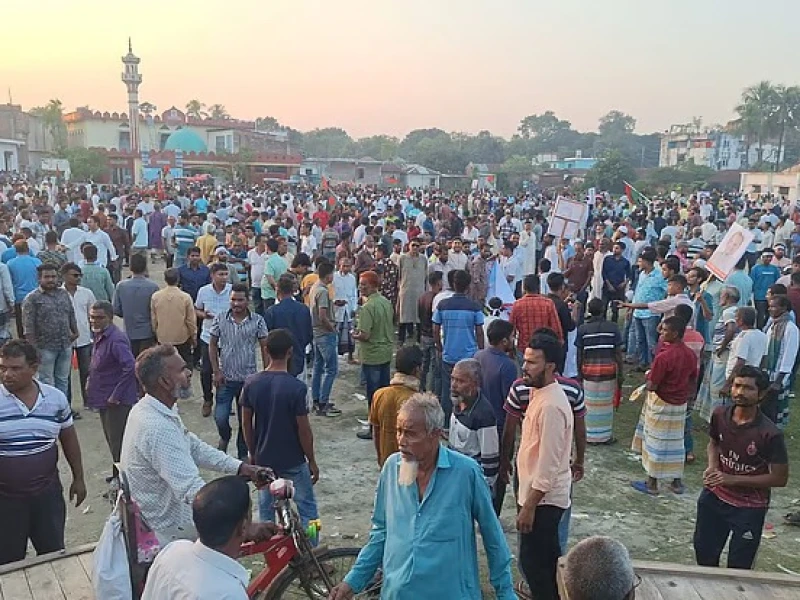 নাটোর বিএনপির মনোনয়ন নিয়ে ভাই-বোনের বিরোধ