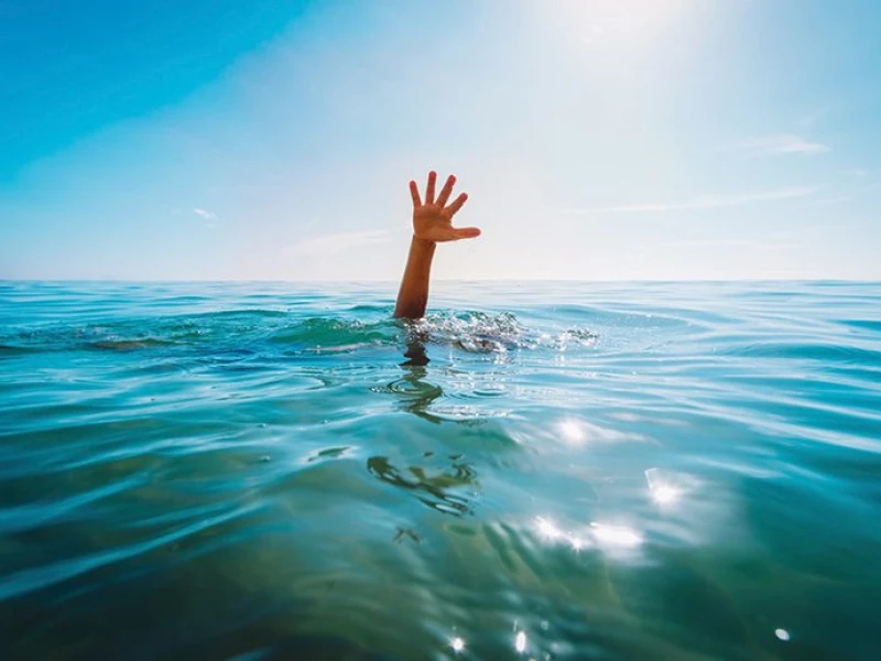 Four Cousins Drown While Collecting Water Lilies in Meherpur