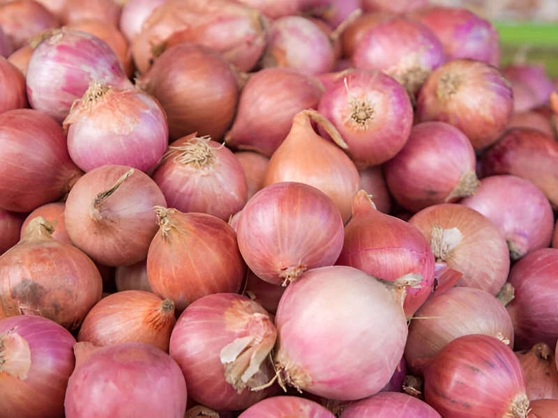 Onion price hike costs consumers Tk 3.5 crore daily; import decision hangs in balance