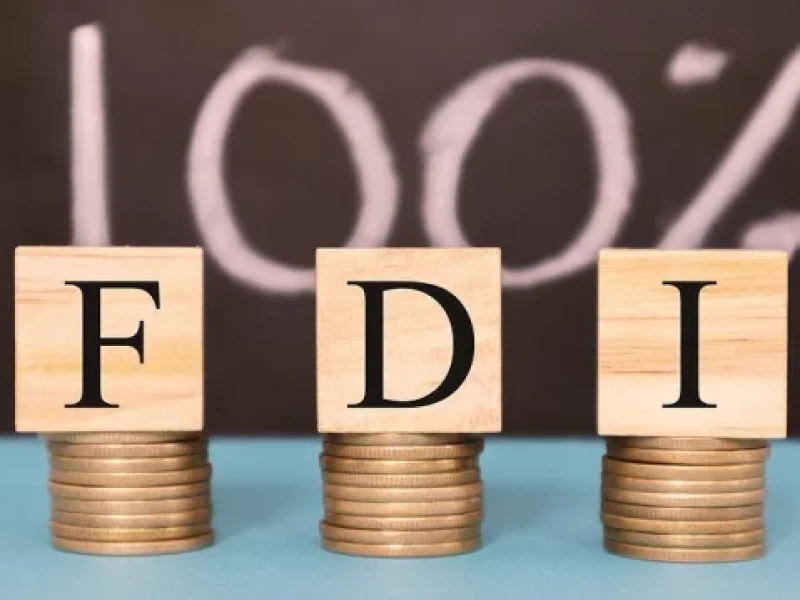 গণঅভ্যুত্থান-পরবর্তী প্রথম বছরে বাংলাদেশের এফডিআইয়ে রেকর্ড