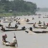 Halda River Declared as Fish Heritage Site