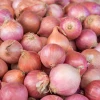 Onion price hike costs consumers Tk 3.5 crore daily; import decision hangs in balance