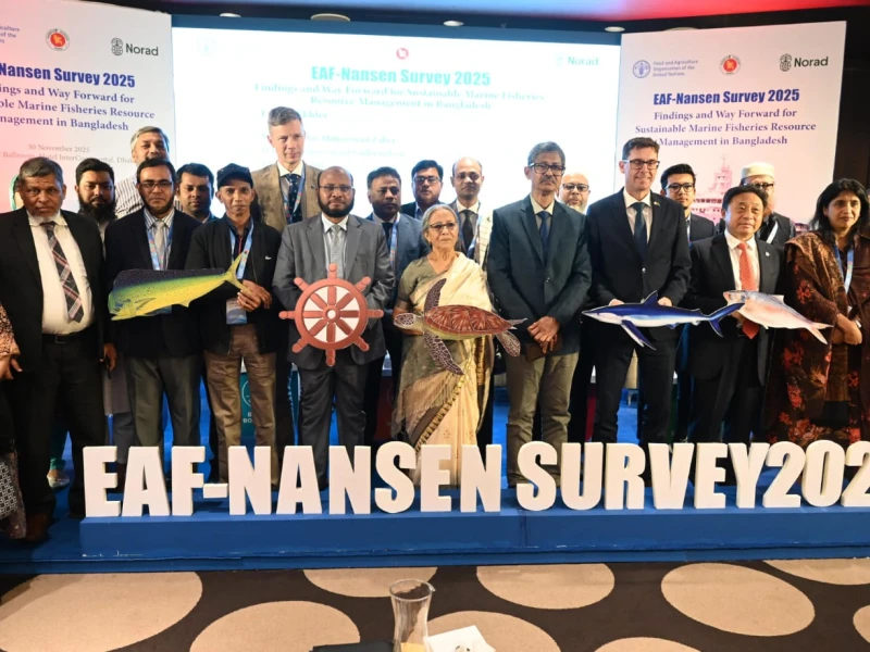 Marine Fish Stocks Declining due to Illegal, Excessive Harvesting: Adviser Farida