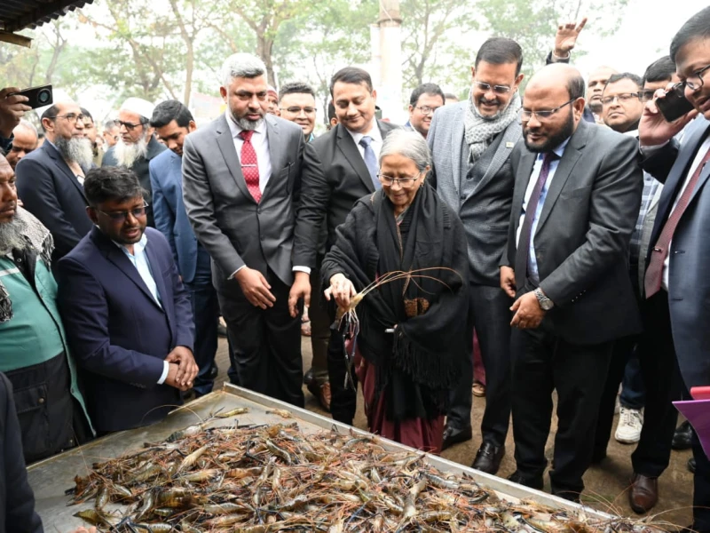 মৎস্যখাতে বিদ্যুতে মিলবে ২০ শতাংশ ভর্তুকি সুবিধা: উপদেষ্টা