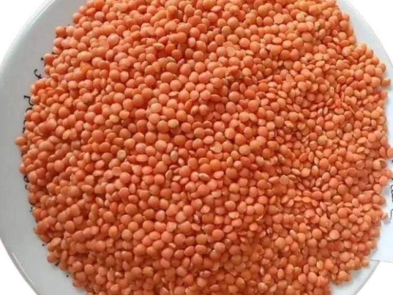 ৭২ কোটি টাকায় ১০ হাজার টন মসুর ডাল কিনবে সরকার