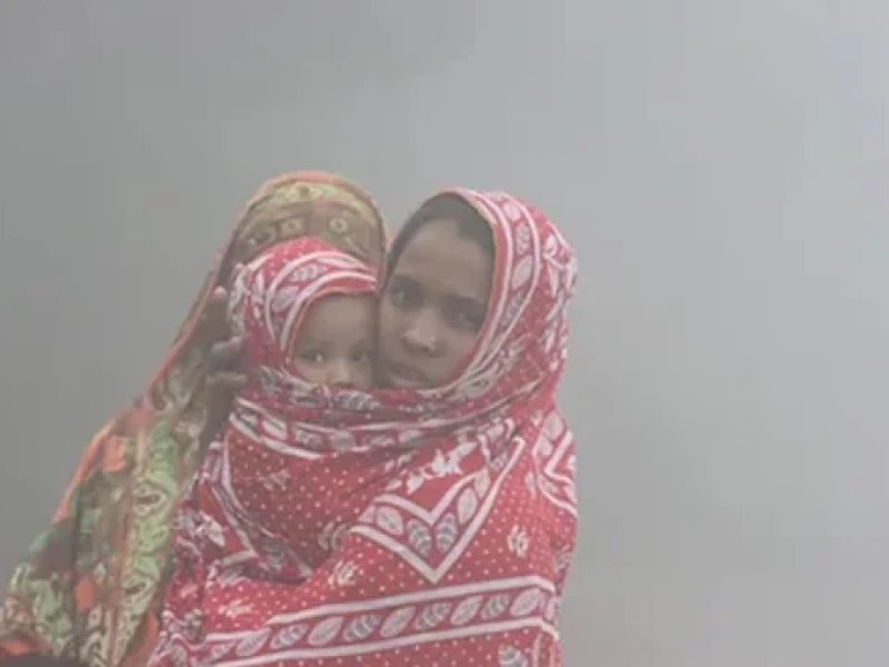 রাজধানীতে জাঁকিয়ে বসেছে শীত