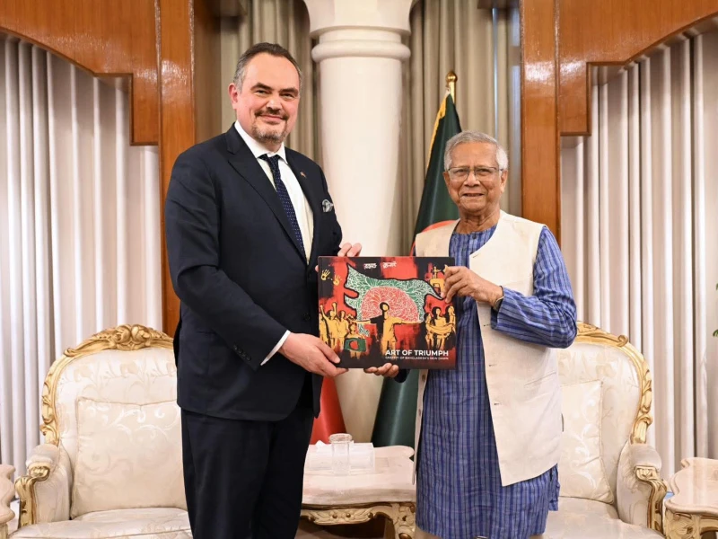 ভবিষ্যৎ নির্বাচনের মানদণ্ড হবে ১২ ফেব্রুয়ারির ভোট: মার্কিন রাষ্ট্রদূতকে প্রধান উপদেষ্টা