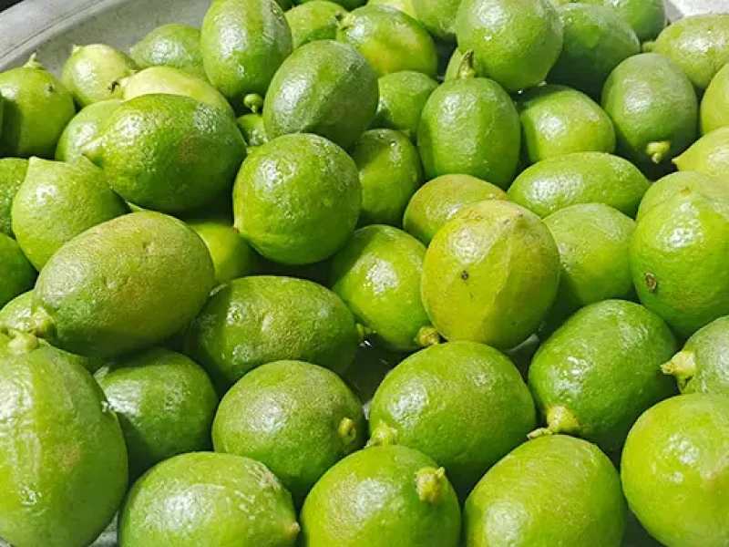 মাদারীপুরে লেবুর হালি ১০০ টাকা