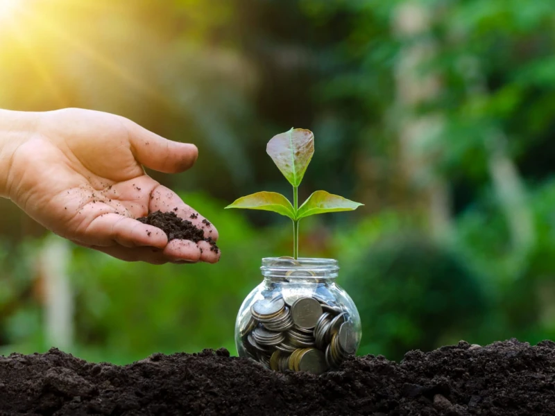 Bangladeshi voters want clean air, safe water as parties stick to roads and bridges model: CPD Survey