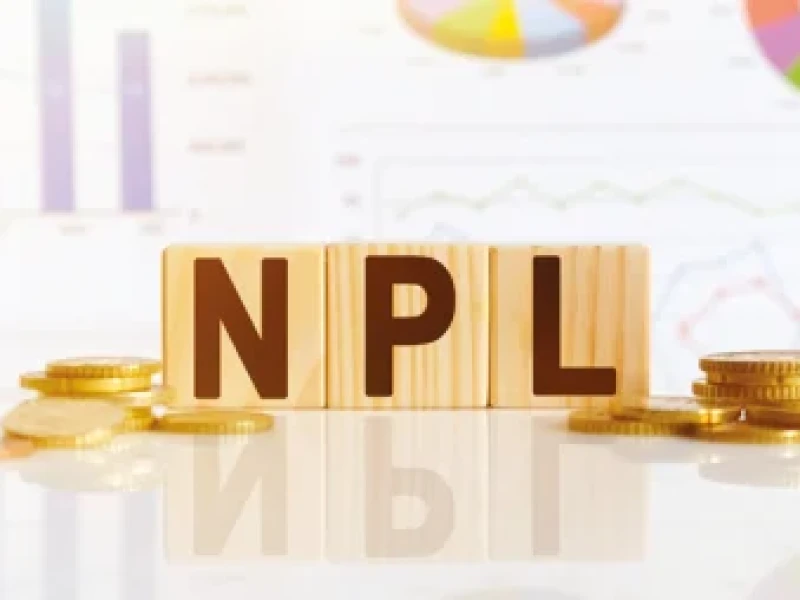 Non-performing loans in business-trading sector at 42%, investment and growth at risk: BB