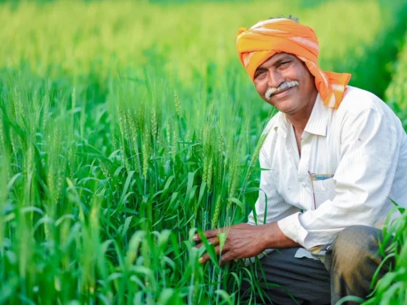 দ্রুত সময়ের মধ্যে কৃষি কার্ড চালু হবে: কৃষিমন্ত্রী