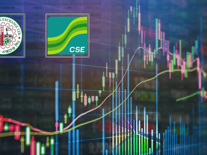 Stocks rebound on DSE, CSE after sharp fall; majority issues still decline