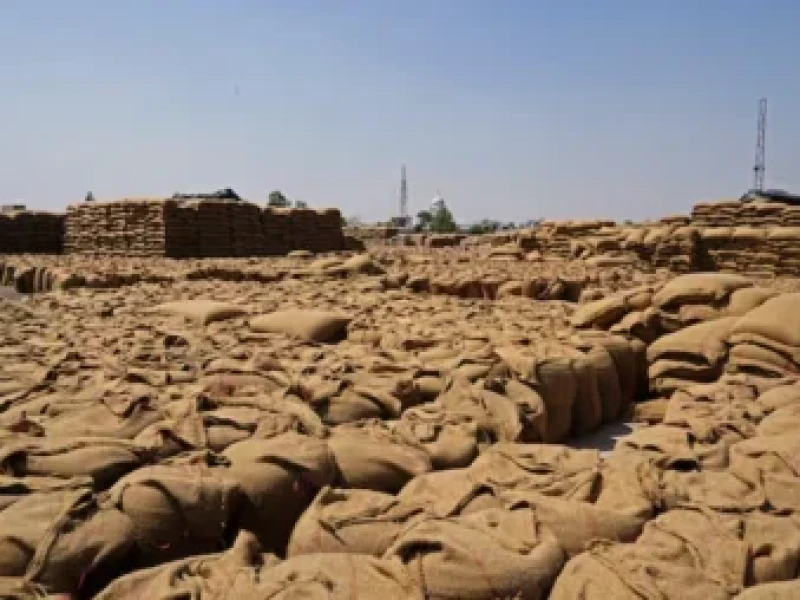 World food price rise set to continue if Iran war lasts, FAO says