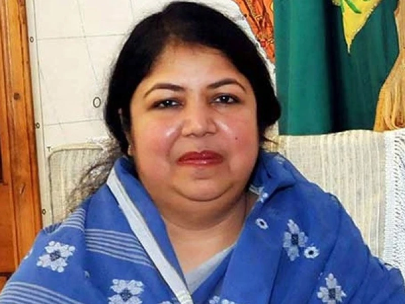 সাবেক স্পিকার শিরীন শারমিন চৌধুরী গ্রেপ্তার