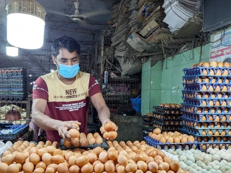 প্রতি ডিমে খামারিদের দুই টাকা করে লোকসান হচ্ছে: প্রতিমন্ত্রী টুকু