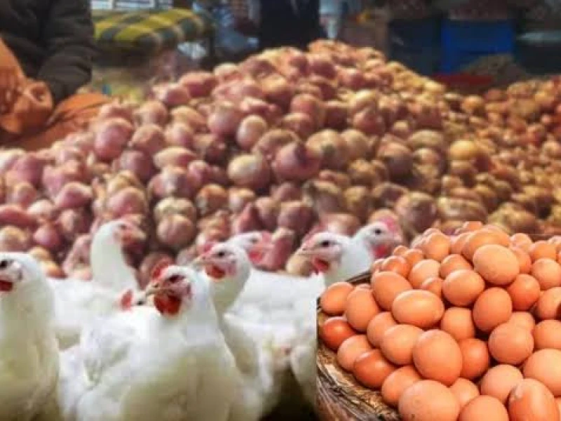 ঢাকার বাজারে দাম কমেছে মুরগির, বেড়েছে ডিমের