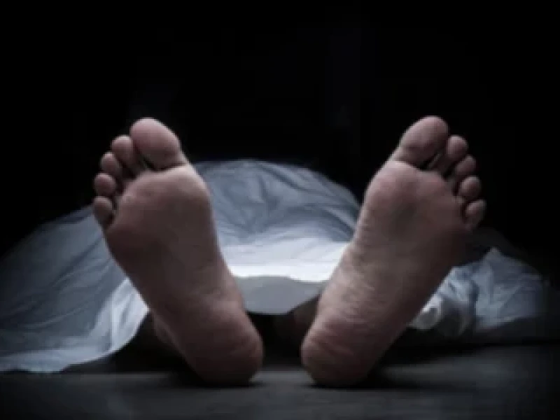 Youth dies in lightning strike while fishing in Shariatpur