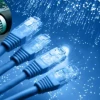 Internet service may face disruption for three days from Thursday