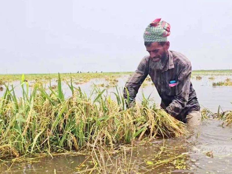 উত্তর-পূর্বাঞ্চলে বন্যা পরিস্থিতি স্থিতিশীল, তিন দিন পর উন্নতির আভাস