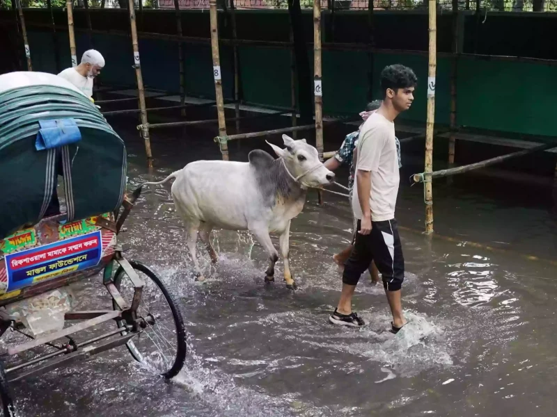 Fresh spell of rain triggers waterlogging in Dhaka, hampers Eid preparations